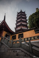 L1000751