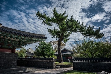 L1004010