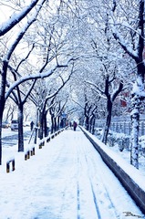 _DSC0011_副本.jpg
