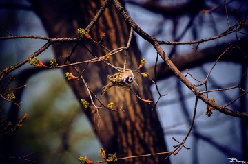_DSC0022_副本.jpg