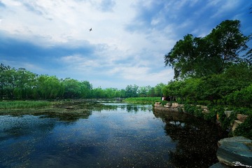 DSC07493_副本.jpg