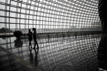 _DSC1722
