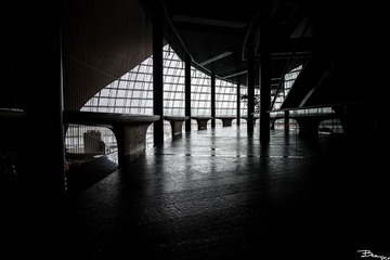 _DSC1741
