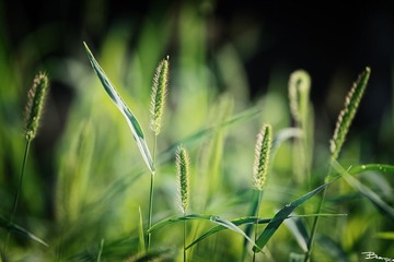 _DSC0605