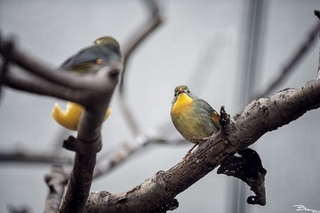_DSC2312
