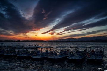 DSC01629P