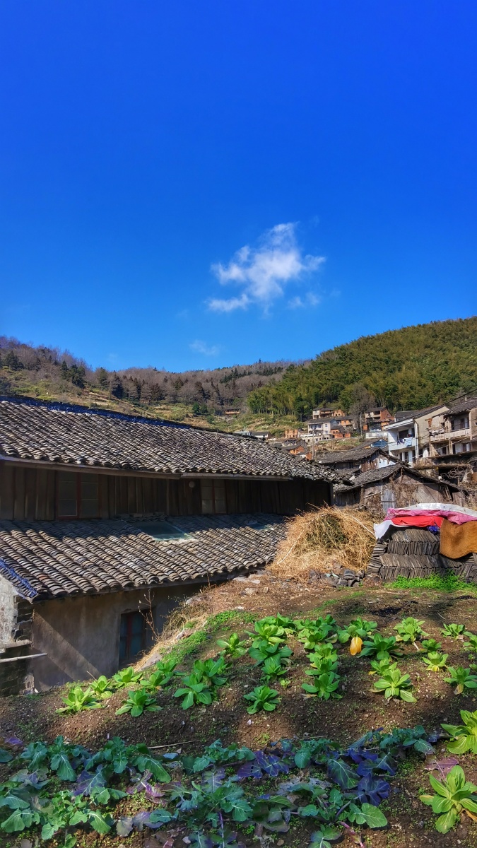 鄞州区金山村行走