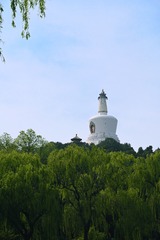 C18361E7-1309-4F40-9914-2D02ABF4045E/L0/001
