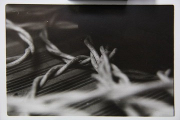 IMG_0895.JPG