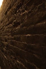 IMG_2024.jpg