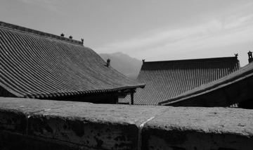 IMG_2050.jpg