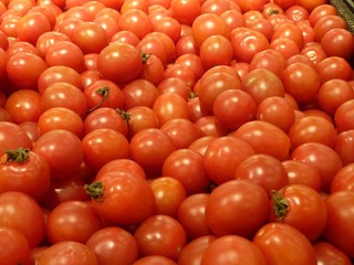 P1030001.JPG