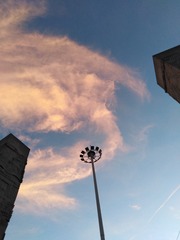 806