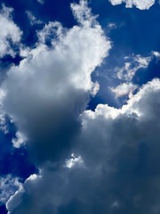 06F9041B-298F-44F8-8D65-48285BC70916/L0/001