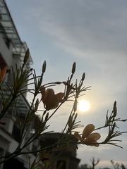 4D332075-3F8B-4861-ABA2-E2C9224D9EA5/L0/001