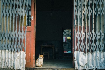 初次见面，请多关照
