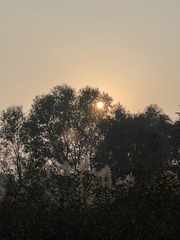 E5575698-1A9A-4FEE-BC02-EE484DBB04BD/L0/001