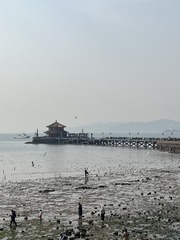 21710344-73BD-4D5E-BDA8-D06A598BA398/L0/001