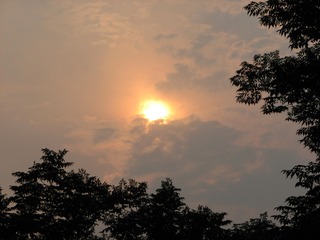 9C72F572-EB05-45A9-8CE6-BFCEF4AB6975/L0/001