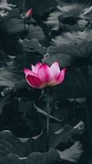 1409014