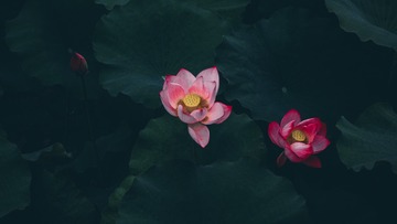 1409012