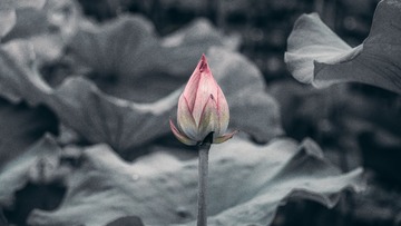 1409020