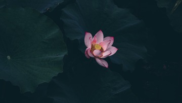 1409013