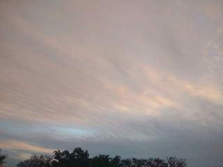 1079631