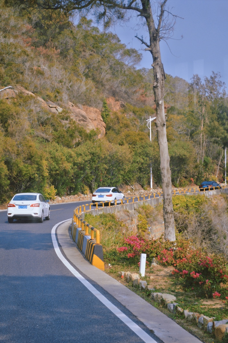 宫崎骏动画片里走出来的画面南澳环岛公路