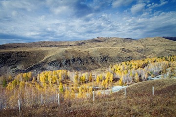 IMG_3709.jpg