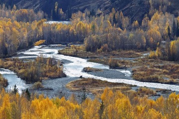 IMG_3719.jpg
