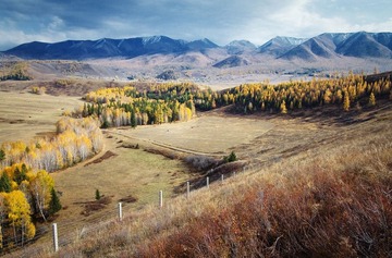 IMG_3718.jpg