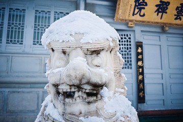 P1120773-1.jpg