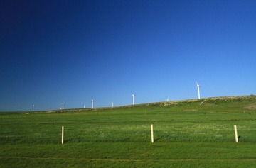 IMG_2972.jpg