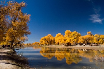 IMG_4569.jpg