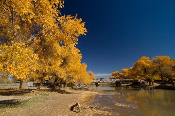 IMG_4584.jpg