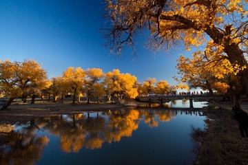 IMG_5069.jpg