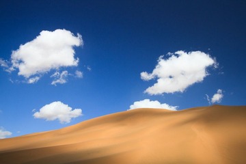 IMG_3406.jpg