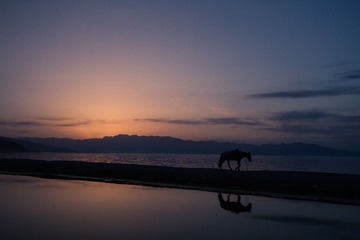 IMG_0952.jpg