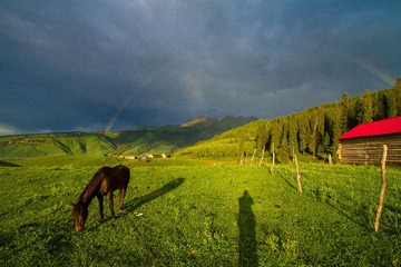 IMG_1373.jpg
