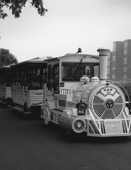 244993