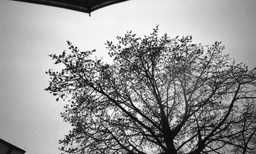 DF53F099-851E-4636-A3CF-FA96010C925D/L0/001
