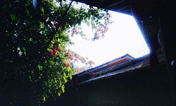 37D6DB3F-B585-4BA7-9D67-836BE9AF4FE3/L0/001