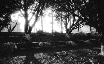 E9901586-BD76-4703-A147-620415C5C4A3/L0/001