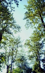 57ABE467-1F59-4DAE-82C5-3F8AE11C23D9/L0/001
