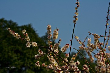 IMGP5860.jpg
