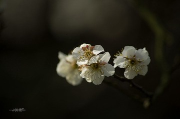 IMGP5882.jpg