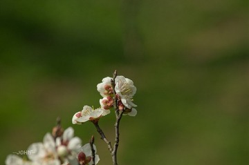 IMGP5895.jpg