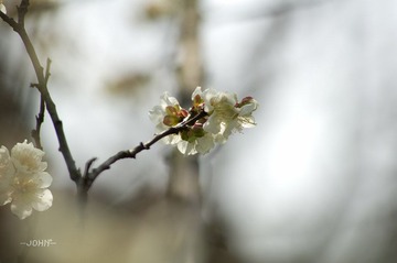 IMGP5898.jpg