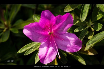 IMGP6300.jpg